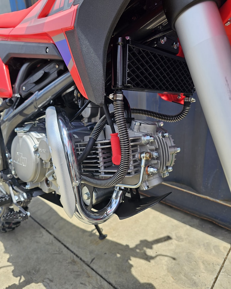 Apollo Thunder 150cc Pitbike – New - Dirt Zaro Moto